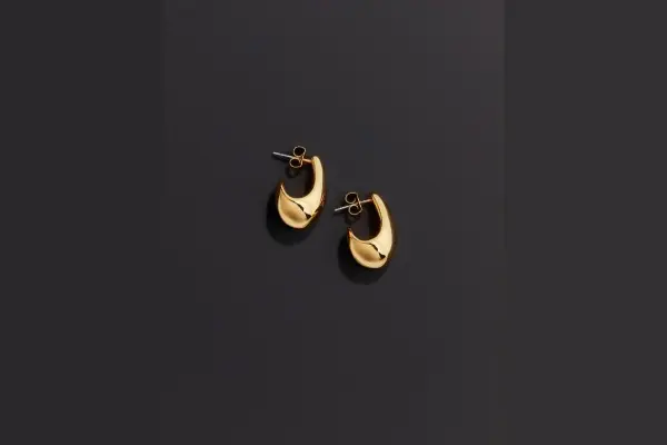 GOLD-PLATED DOME EARRINGS image
