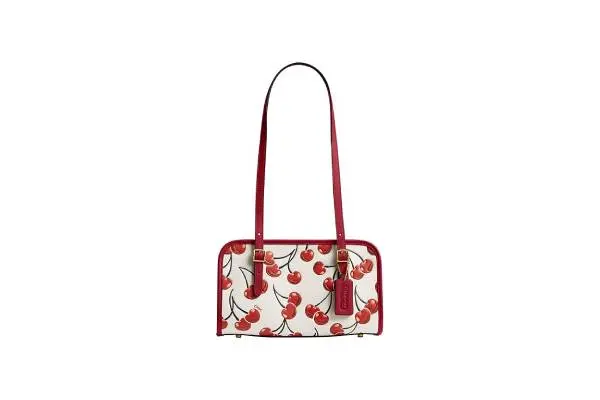 Coach Swing Zip image