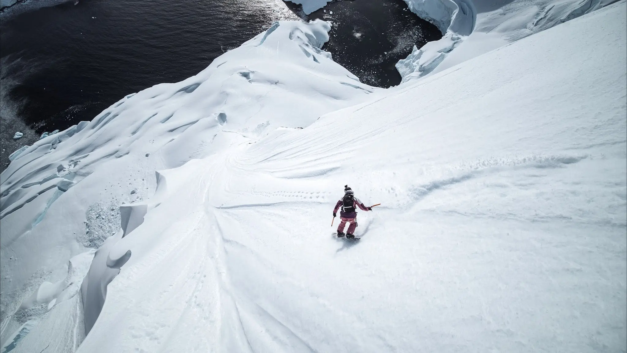 The North Face Banner