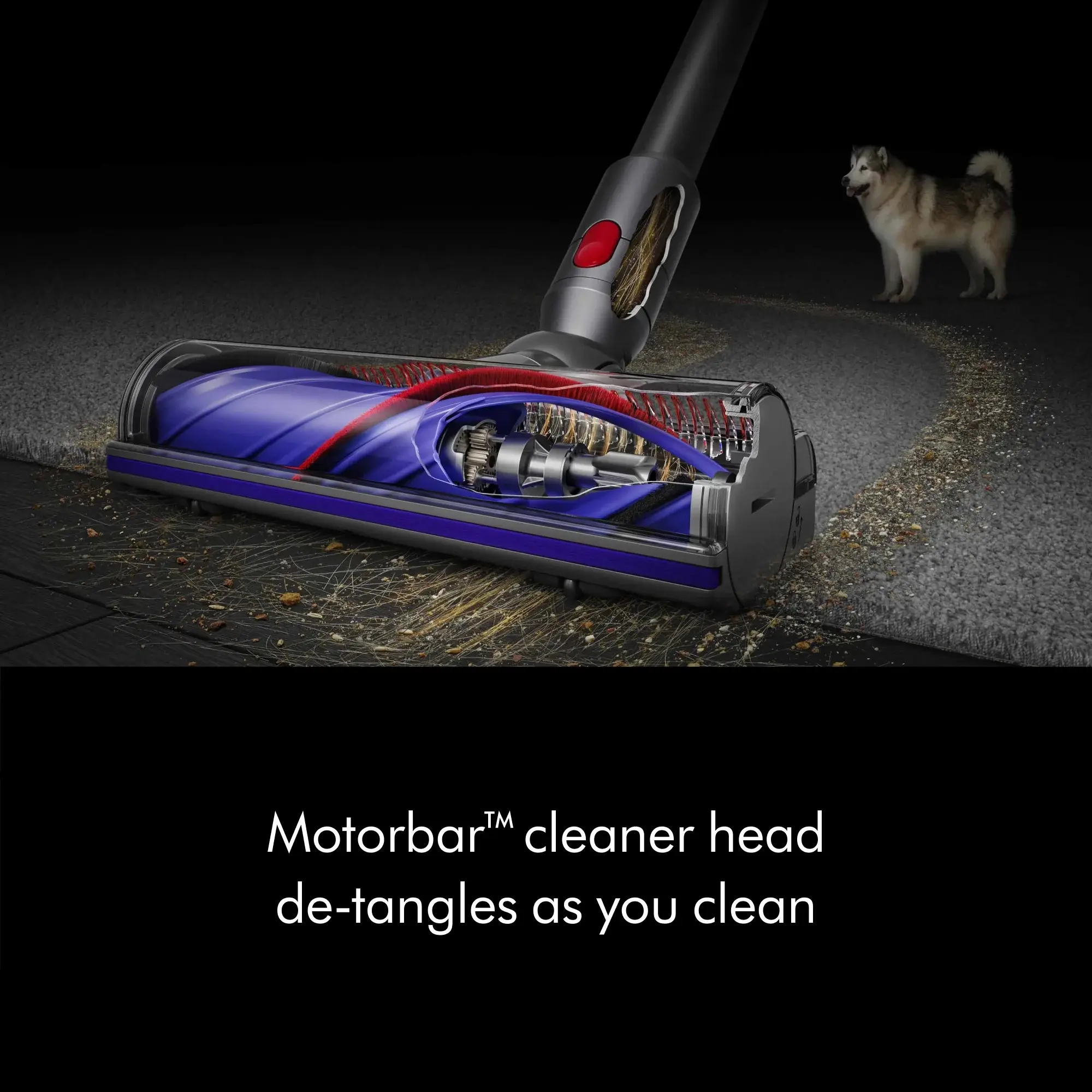 Dyson V7 Advanced Cordless Vacuum Cleaner | Silver | New image 5